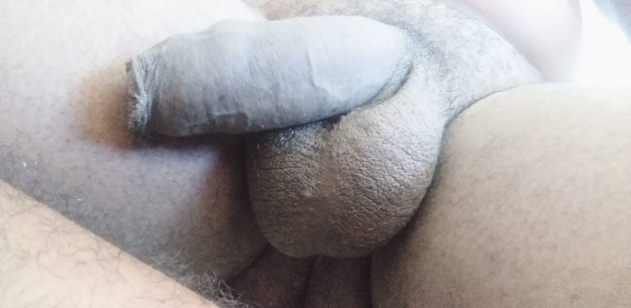 #hamster megmutattam neked egy titkom, kérlek, ne nézd 02