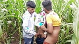 Indian Pooja Shemale Boyfrends Took A New Friends To Pooja  Corn Field Today And Three Frends Had A Lot Of Fun In Sex snapshot 8