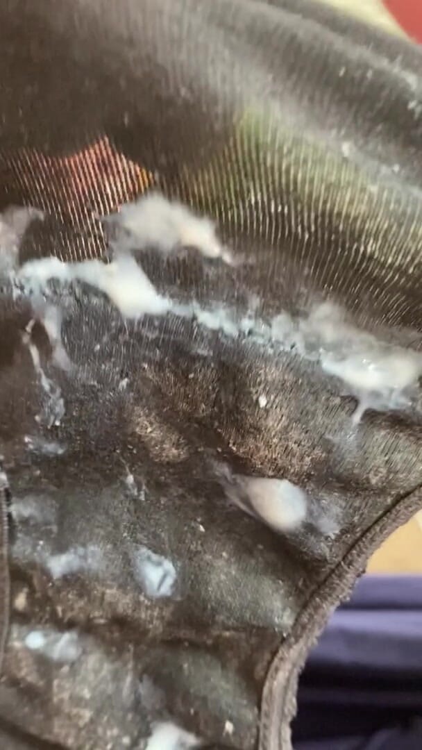 My panties are wet and full of creamy discharge! Look how I rub my clit against it and cum hard!
