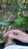 the farmer's wife asked to inject extra vitamin in the corn field,he was a bit shy snapshot 3