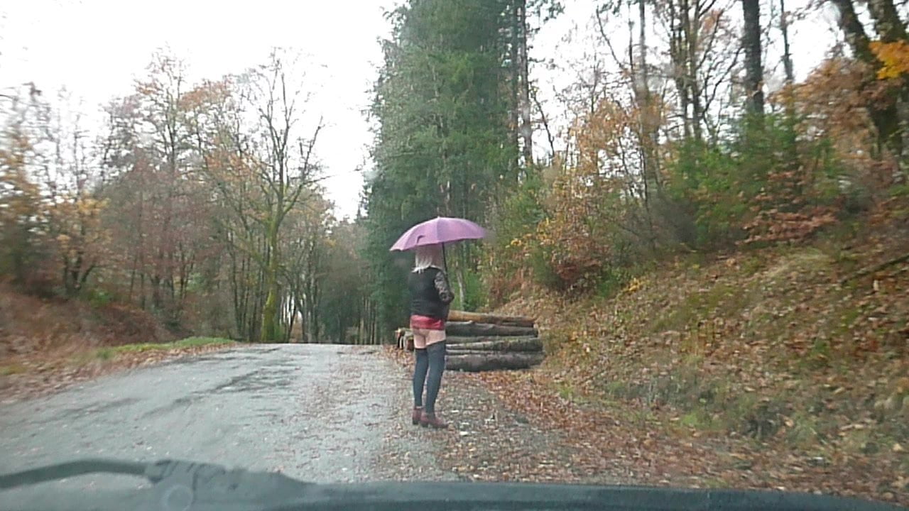 exhibes en pleine nature