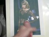 Taylor Swift eerbetoon 2 snapshot 2