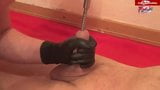 Vibrator ganz im Schwanz snapshot 4