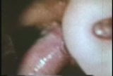 vintage 70s brunette movie fucks in extreme way snapshot 14