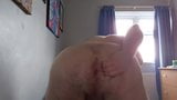 Chubby Bear Plays With Dildo in His Hole snapshot 10