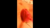 Les vacances de la pussy pump snapshot 11