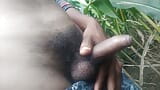 Tamilische Sexvideos snapshot 3