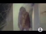 Alice Cooper Poison Uncensored snapshot 1