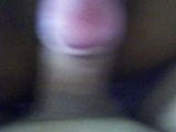 Creampie pour ma cocufieuse snapshot 1