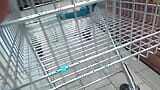 Włoska MILF daje loda na parkingu w supermarkecie snapshot 6
