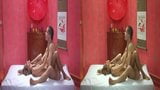 Kamasutra 3D instructions snapshot 20