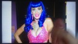 Katy Perry cum tribute snapshot 6