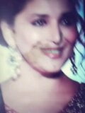 Madhuri Dixit Cum Tribute snapshot 10