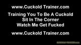 I require a new cuckold slave to torment snapshot 3