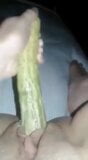 La mia figa adora il cetriolo snapshot 4