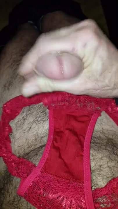 wife panty