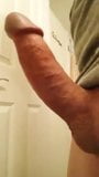 Long throbbing morning cock! snapshot 2