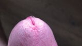 Close-up cum handsfree snapshot 1