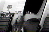 Delilah vor Webcam snapshot 10