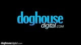 Doghouse włoska laska Giorgia Roma uwielbia ruchanie DP snapshot 1