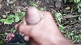 Desi indiano gay masturbazione grosso cazzo nella foresta 18 snapshot 7