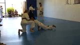 HAPKIDO LA-QUANFA AIKIDO snapshot 4