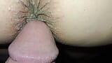 Amador anal snapshot 1