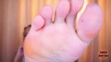 Bogini różyczka trzciny wielbienie stóp POV podeszwy i palce u nóg snapshot 4