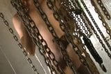 Tara Chains and Latex snapshot 2