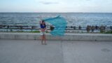 Danza con lo scialle blu (gru) snapshot 2