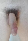 Big Harry cock snapshot 2