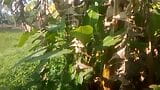 Nature Sex .. Sex with Banana tree .. PART 1 snapshot 2