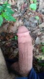 Langer Morgen, Penis pinkeln snapshot 1