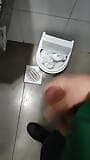 Masturbation dans une salle de bain au centre commercial snapshot 2