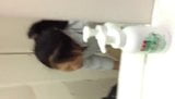 toilet Jepang snapshot 1