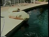 Muscular dude fucks in all positions a busty blonde near the pool snapshot 22