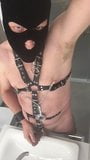 Slave in Harness with nipple clamps and cockrings jerking of snapshot 10