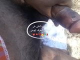 Farid bisex snapshot 10