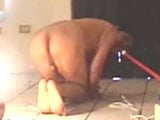 Máquina de sexo - compilação 62 snapshot 5