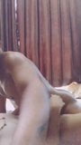 Gay Sex : Indonesian bald tattoo & Sissy white (bareback) snapshot 2