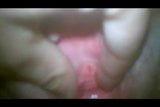 Sensibel | xHamster