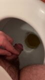 Pissing longer than expected snapshot 8