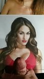 WWE Nikki Bella Cum Tribute 8 snapshot 3