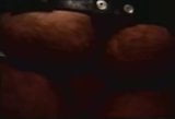 Grande urso transportando co. 2 (filme completo) snapshot 15