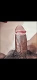 A brown cock is standing up and down in loop mode snapshot 9