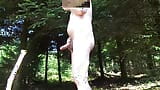 walking naked in the woods snapshot 7