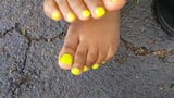 Suole e dita dei piedi ebano snapshot 6