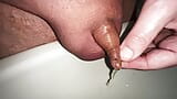 play with the foreskin of my micro cock while peeing snapshot 6