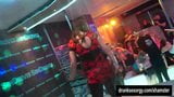 Cagne bagnate che ballano eroticamente in un club snapshot 2