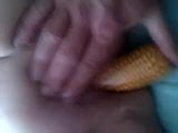 uni corn snapshot 12